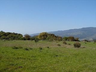 50 Mesa Road Point Reyes Station, CA 94956 - Photo 4 of 5 a view of a lake with a mountain in the background