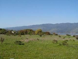 50 Mesa Road Point Reyes Station, CA 94956 - Photo 5 of 5 a view of a lush green field with trees in the background