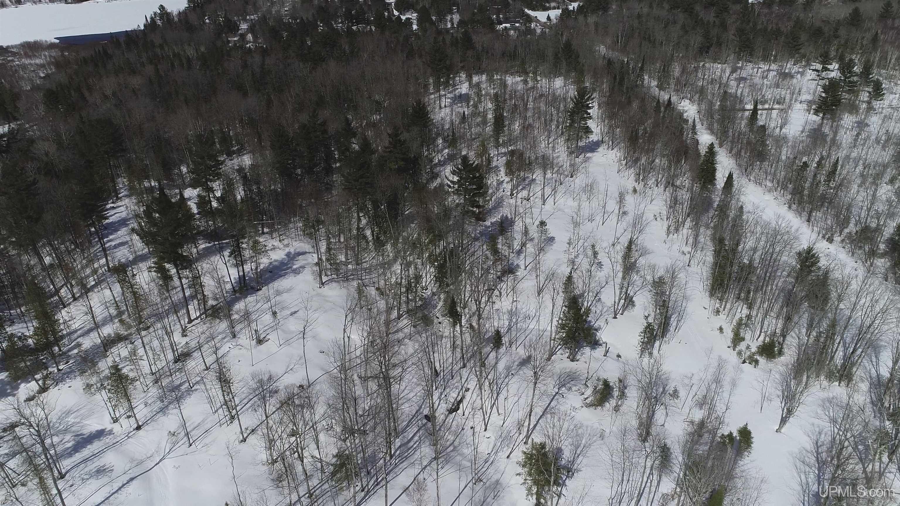 South 8-acres Perch Lake Road Munising, MI 49862 - Photo 32 of 44 Gallery Image 32