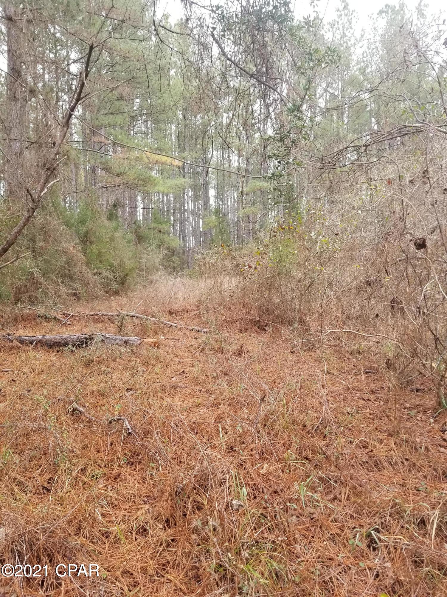 2981 Beall Packing Road Bonifay, FL 32425 - Photo 38 of 38 Gallery Image 38