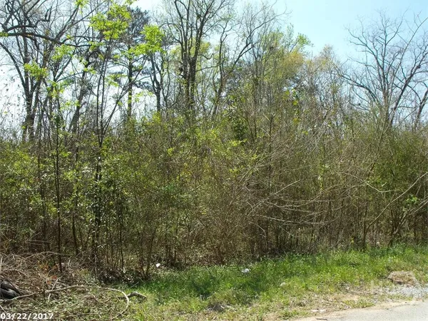 $8,000 | 0 Borum, Unadilla, GA 31091