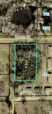 $8,000 | 0 Borum, Unadilla, GA 31091