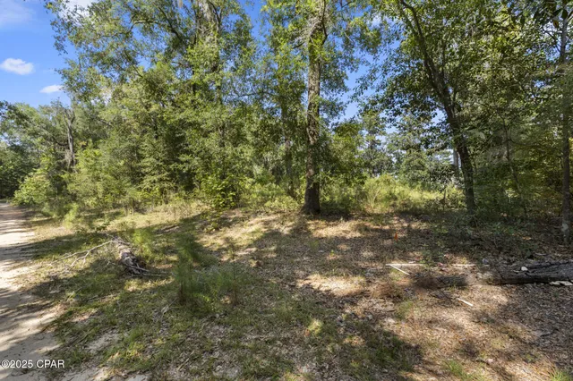 $75,000 | 3126 Magnolia Way, Vernon, FL 32462