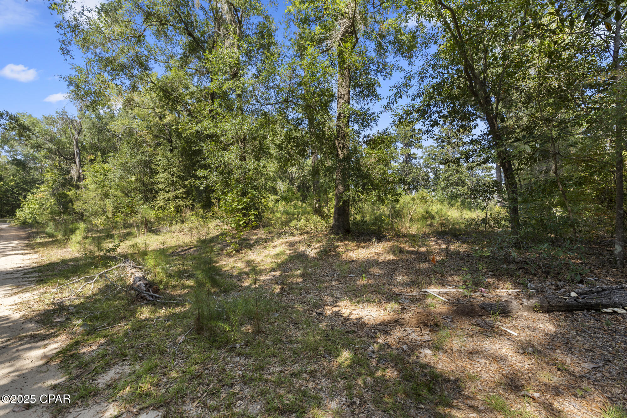 3126 Magnolia Way Vernon, FL 32462 - Photo 2 of 13