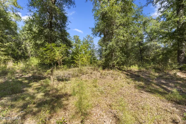 $75,000 | 3126 Magnolia Way, Vernon, FL 32462