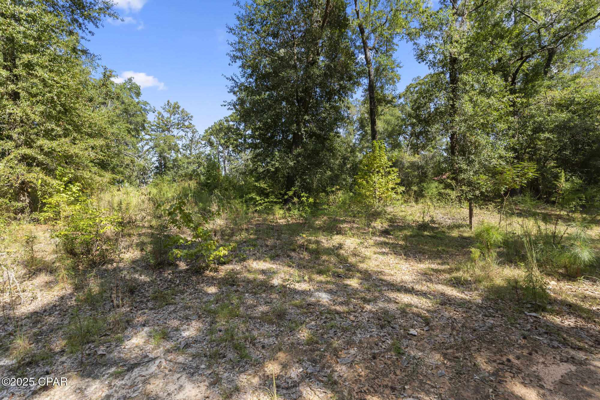 3126 Magnolia Way Vernon, FL 32462 - Photo 4 of 13