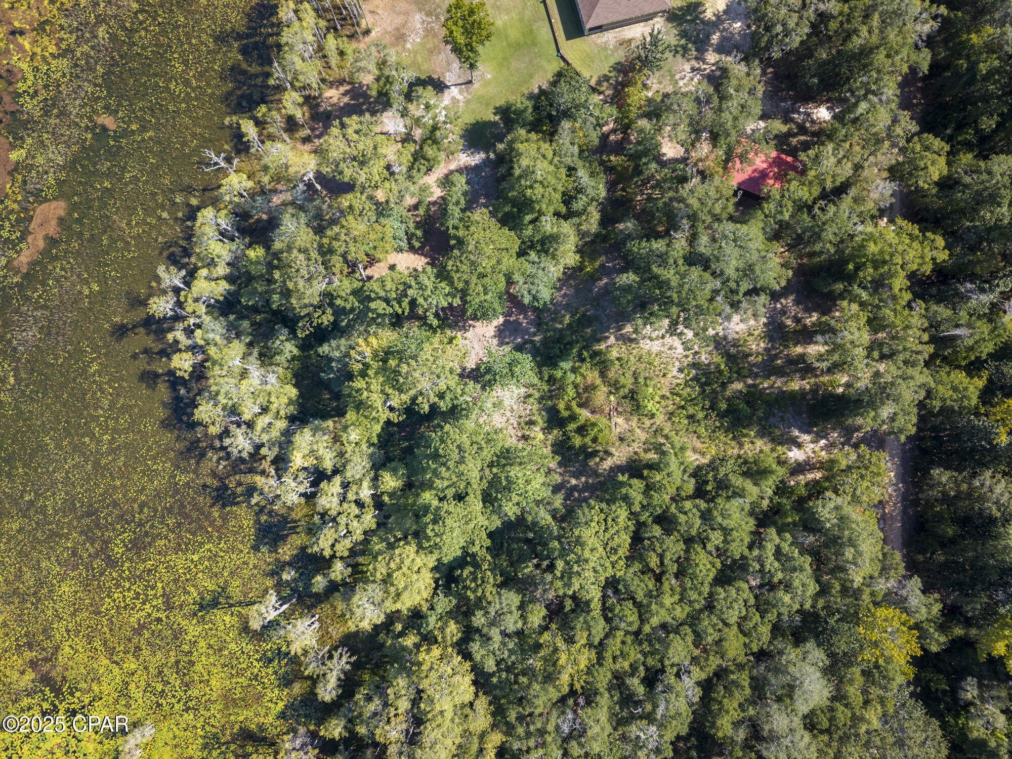3126 Magnolia Way Vernon, FL 32462 - Photo 9 of 13