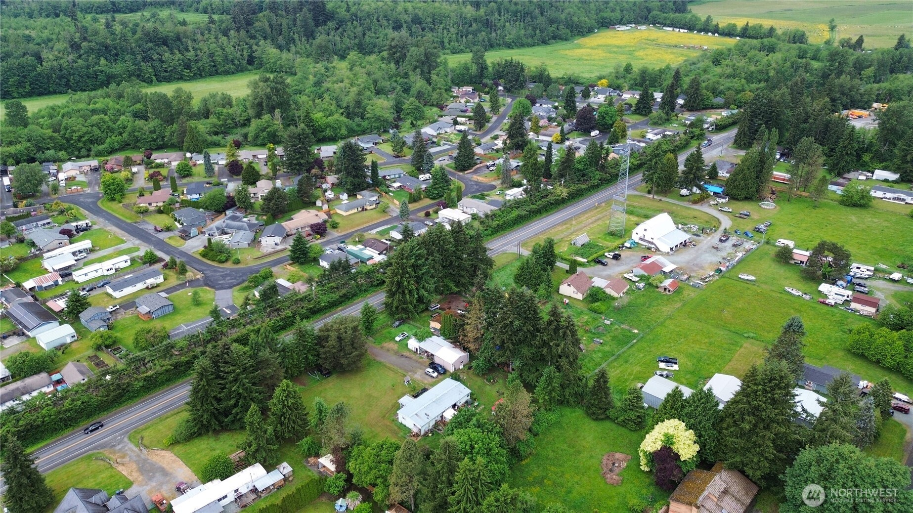 7185 Old Highway 99 North Road Burlington, WA 98233 - Photo 20 of 26 a bunch of flowers with lots of green space