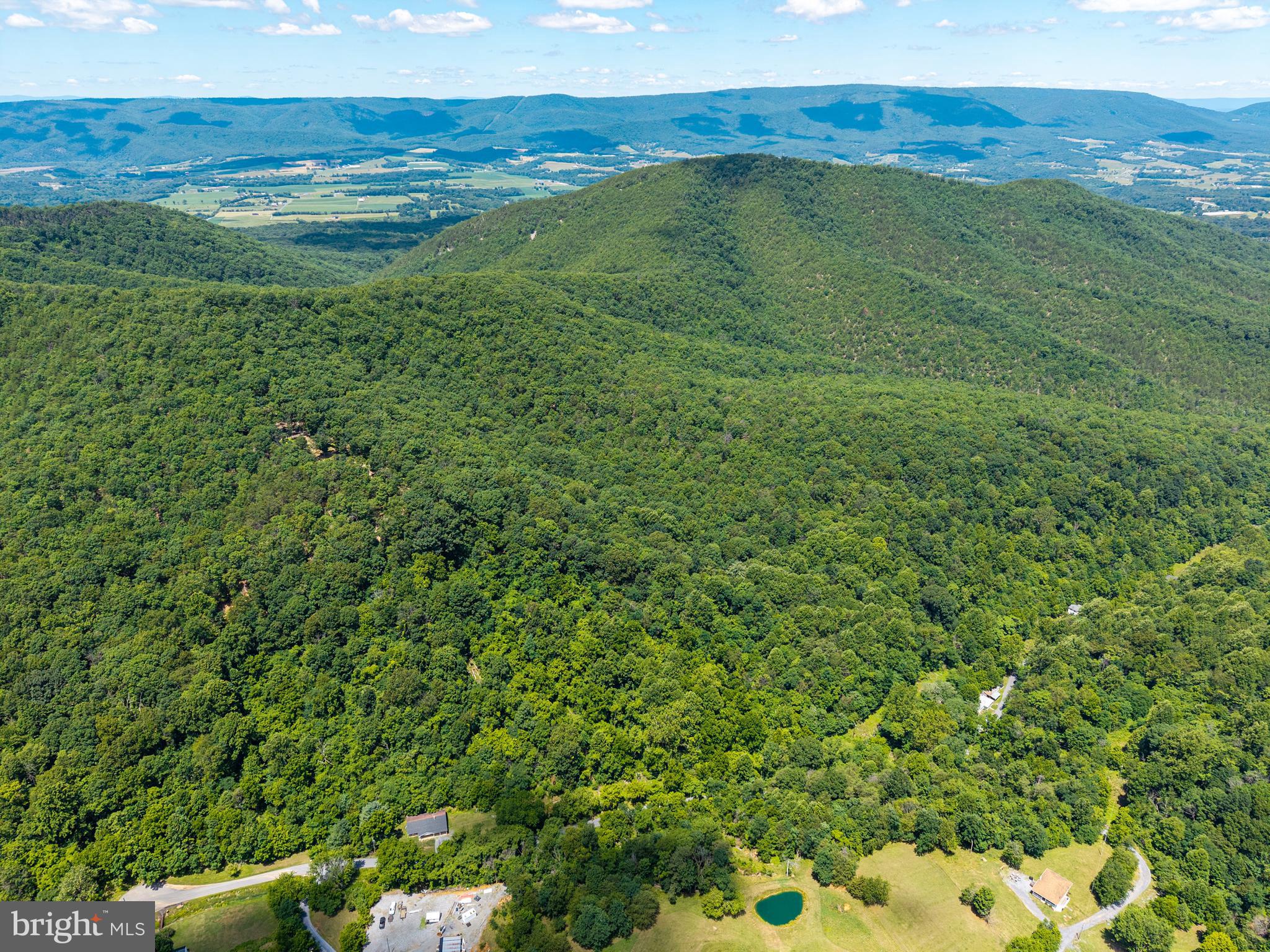0 Dovel Hollow Road Stanley, VA 22851 - Photo 9 of 22