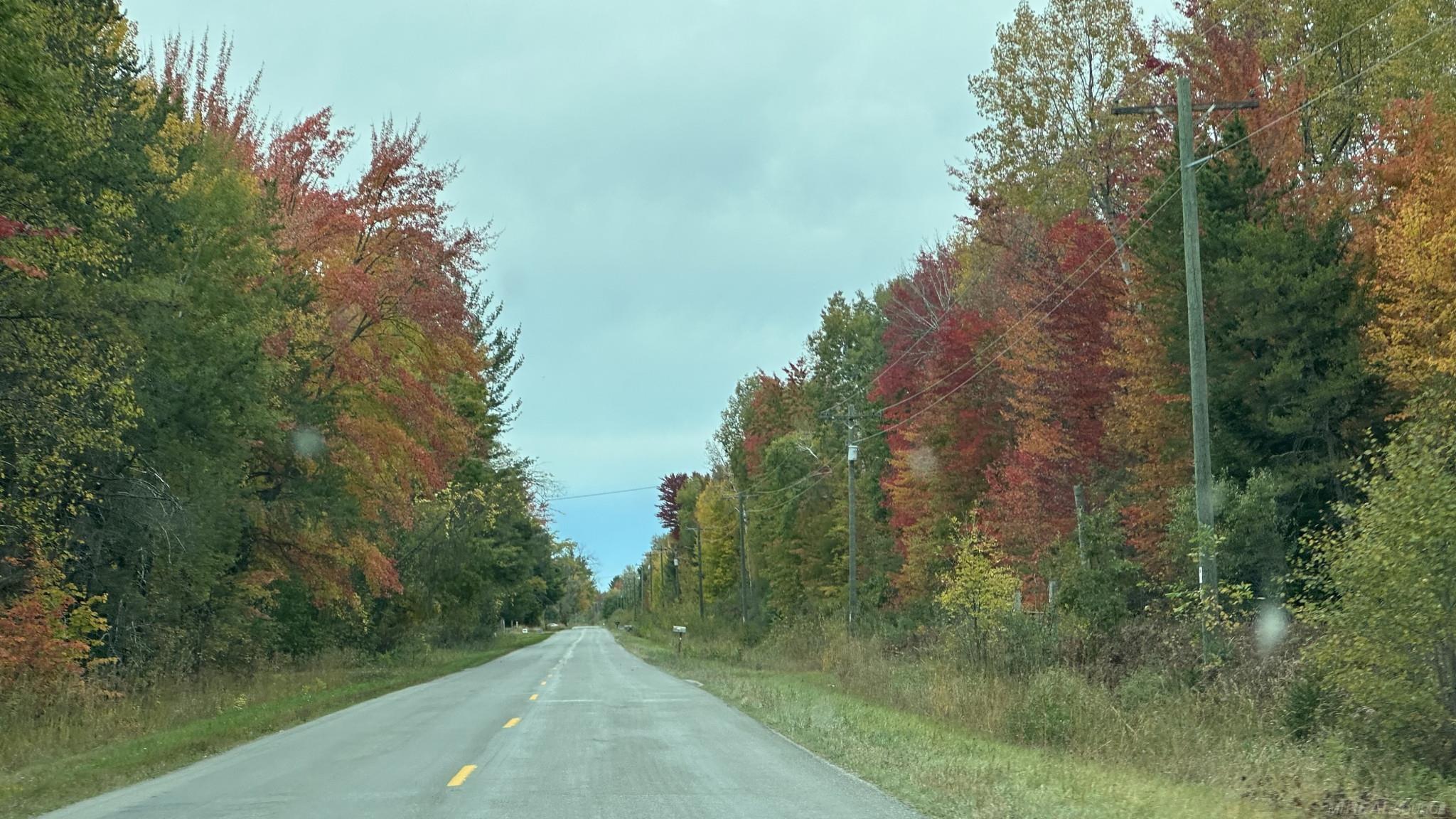 0 Old Camp Road Manistee, MI 49660 - Photo 14 of 22 Gallery Image 14