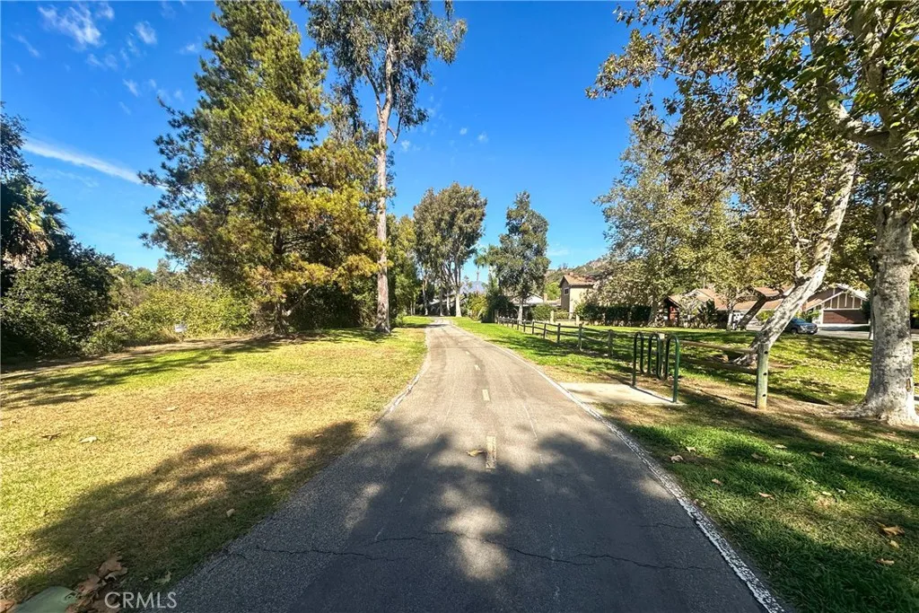 21902 Raintree Lane Lake Forest, CA 92630 - Photo 36 of 46 a view of yard with large trees