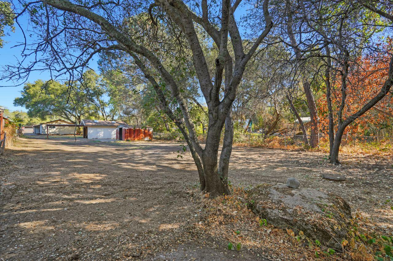 3331 Taylor Road Loomis, CA 95650 - Photo 42 of 97 a view of road with trees
