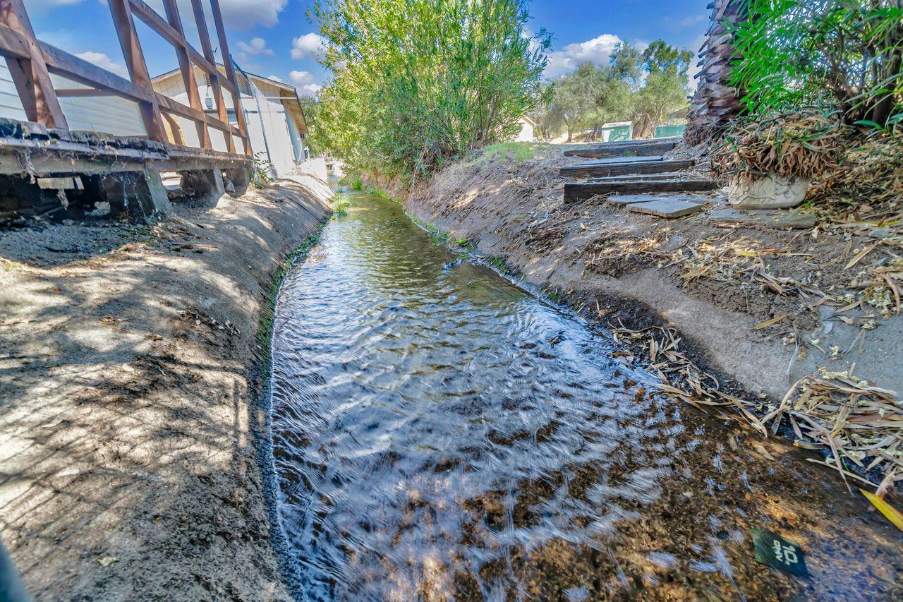 3331 Taylor Road Loomis, CA 95650 - Photo 5 of 97 a view of a yard with plants and large trees