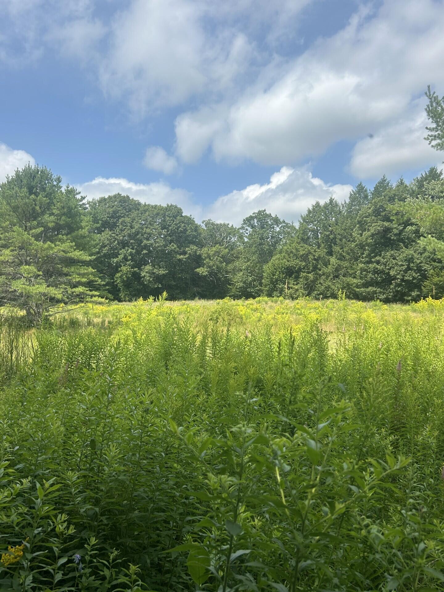 67 Pike Road Livermore, ME 04253 - Photo 11 of 36 0422 land