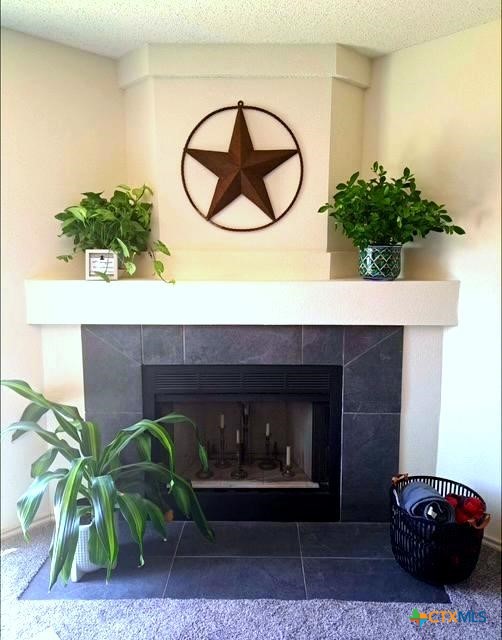 1054 Rolling Path New Braunfels, TX 78130 - Photo 4 of 14 a closeup of a sink and a potted plant
