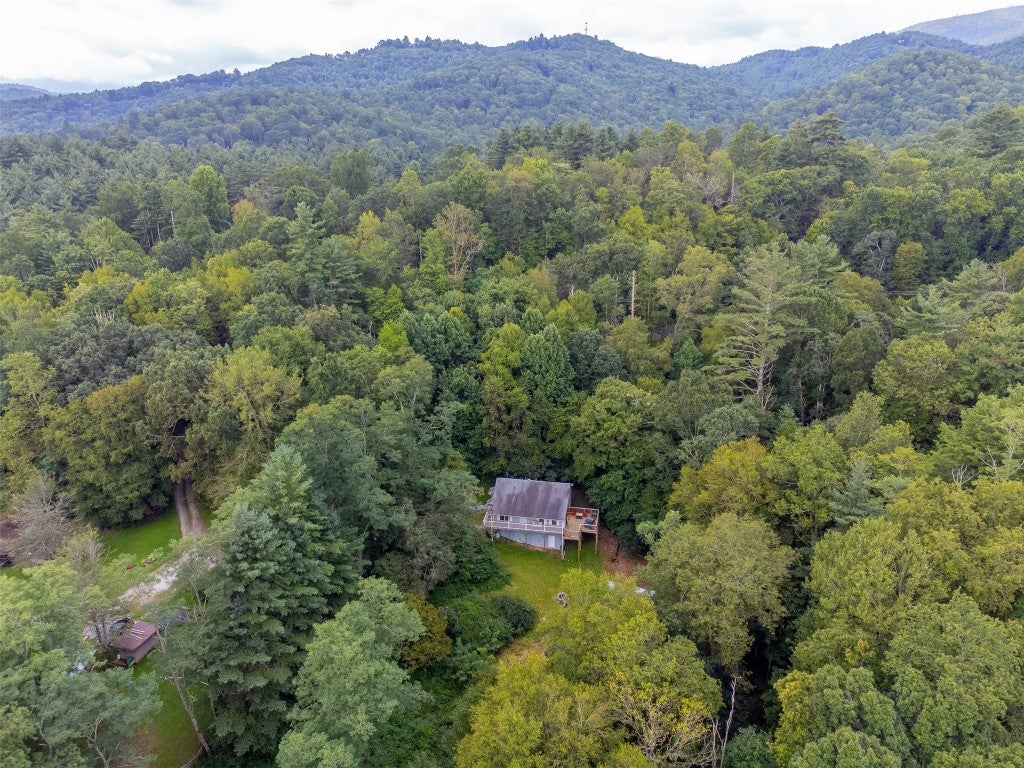3558 North Norton Road Cullowhee, NC 28723 - Photo 55 of 59 Gallery Image 55