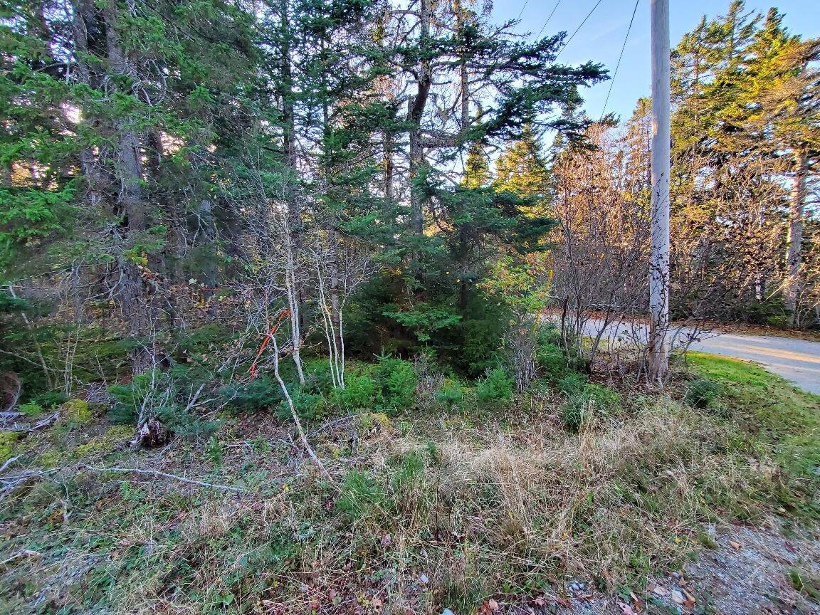 Lot 7 South Ocean Road Machiasport, ME 04655 - Photo 3 of 44 front corner