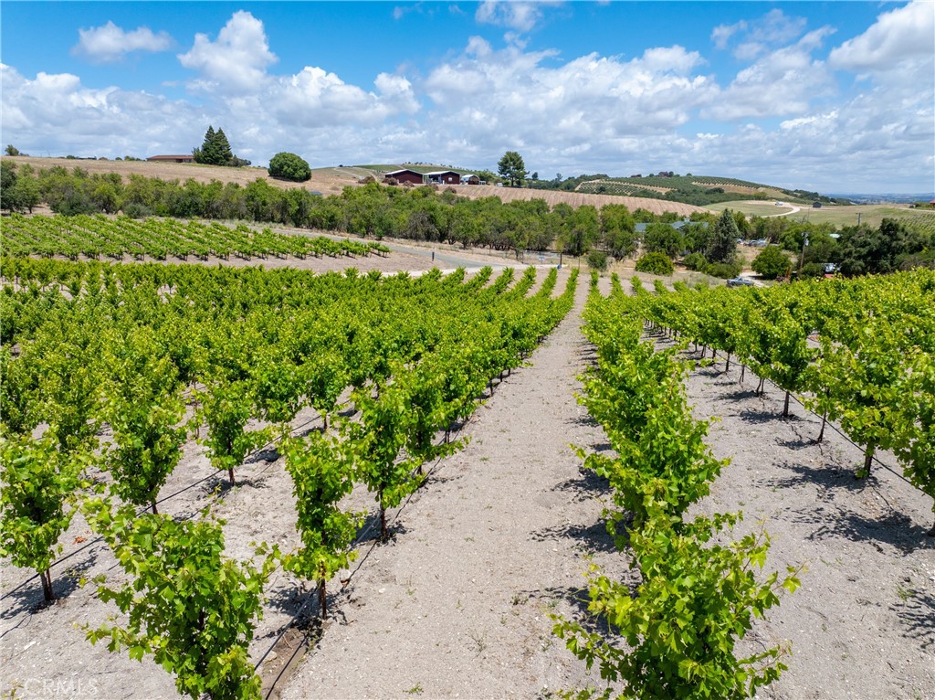 1618 Kiler Canyon Road Paso Robles, CA 93446 - Photo 14 of 62