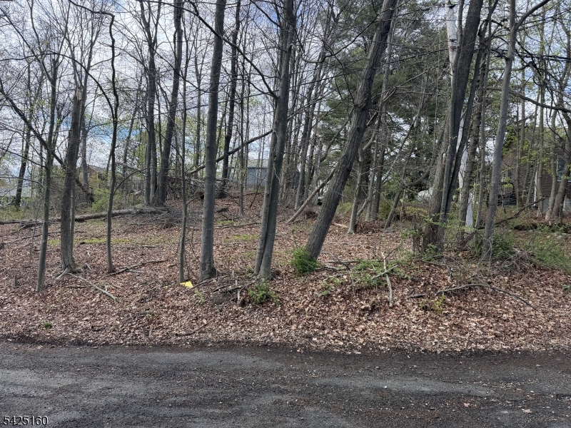 3 Neptune Road West Milford, NJ 07421 - Photo 2 of 2