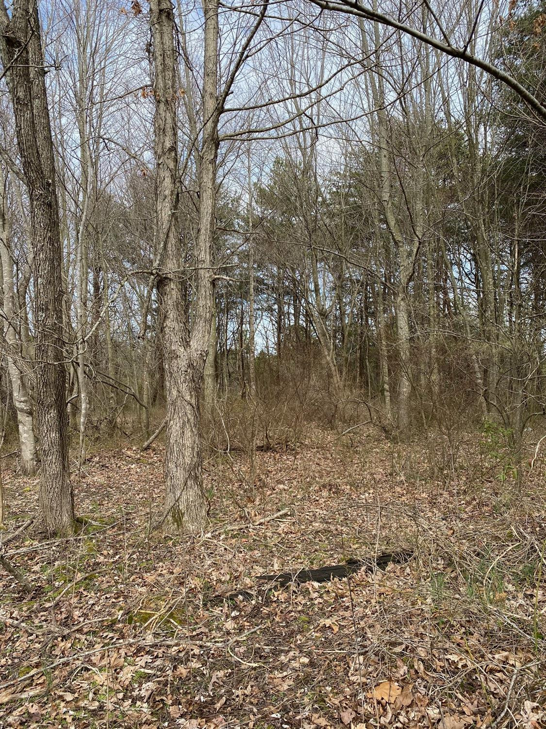 1111 Whitely Road London, KY 40744 - Photo 6 of 8 Photo 6