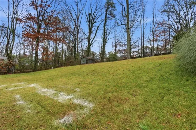 a view of yard with trees