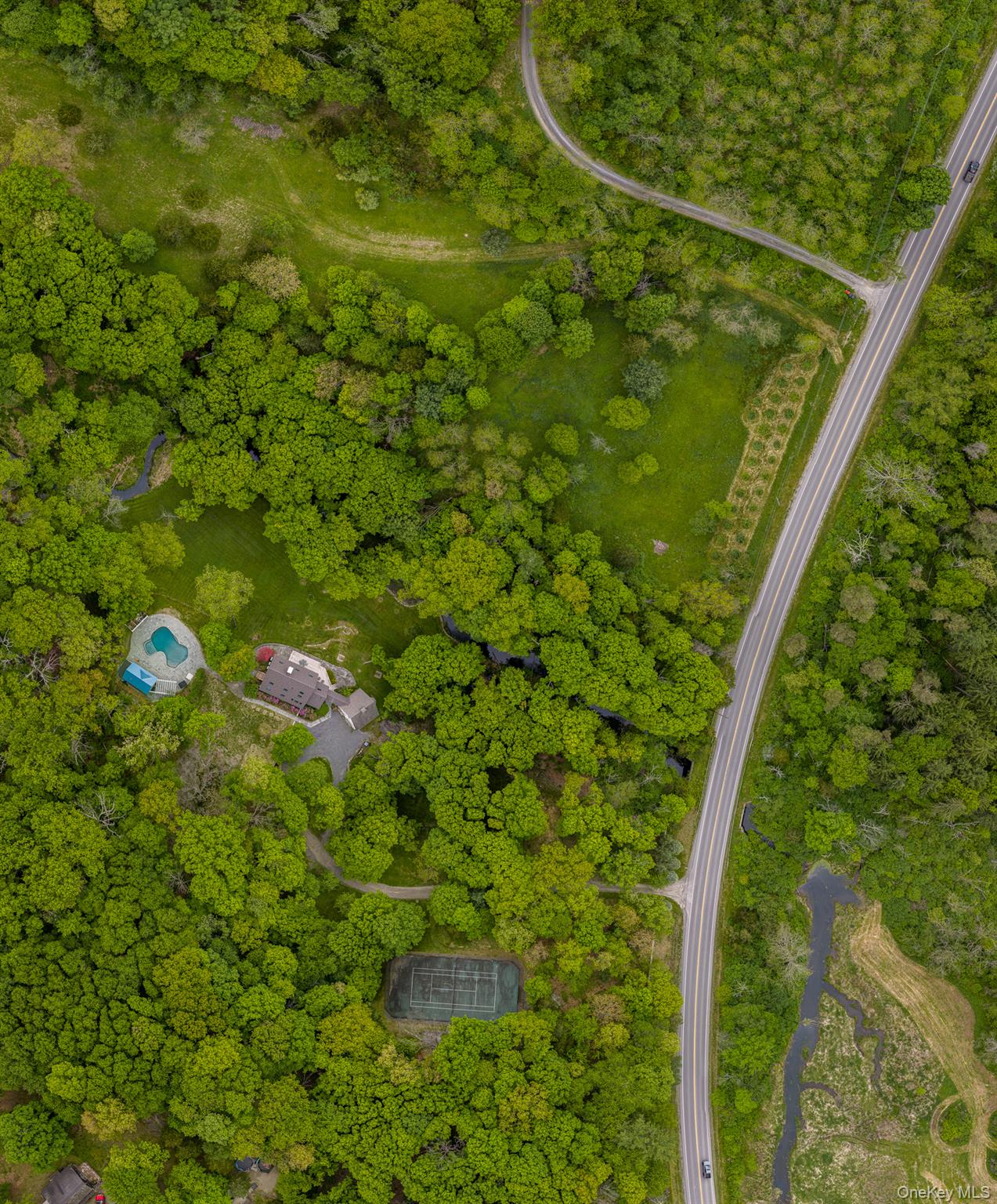 1046 Bulls Head Road Clinton Corners, NY 12514 - Photo 46 of 46 a view of a forest