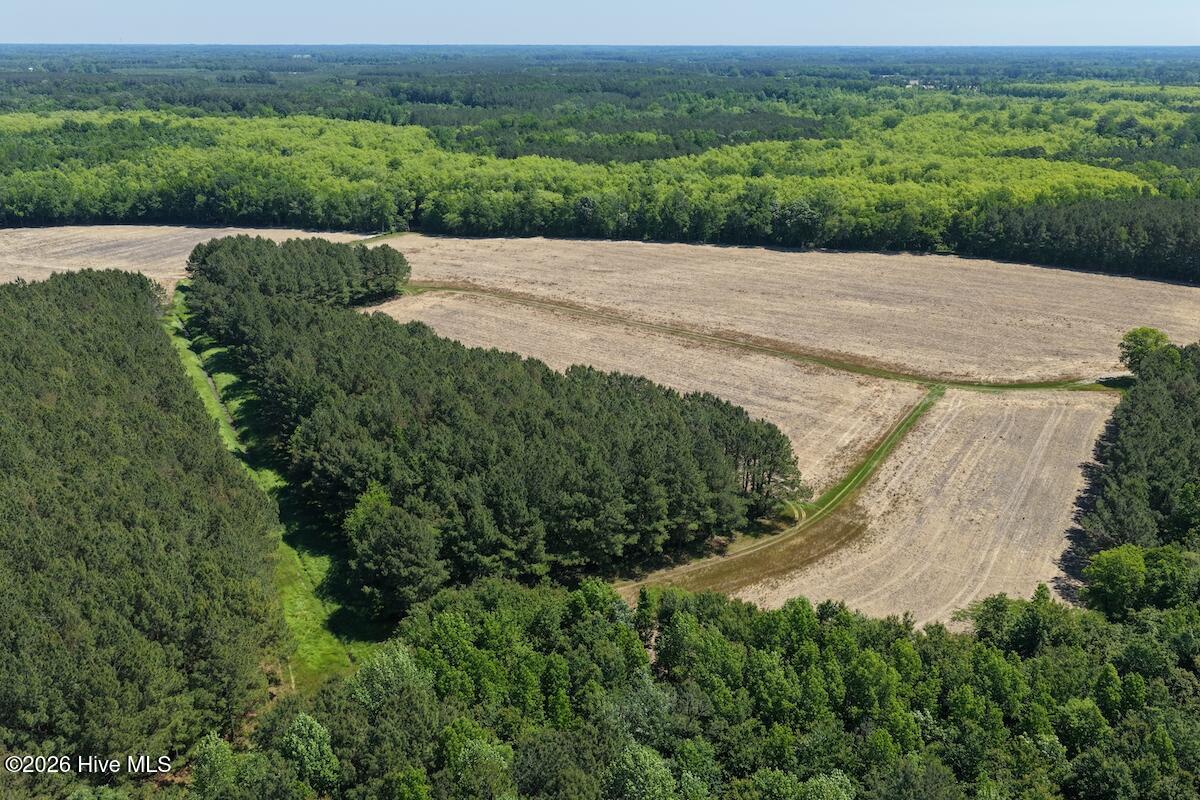 0 Kirkman Road Robersonville, NC 27871 - Photo 4 of 31 4