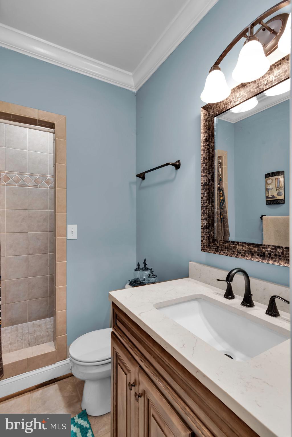 6936 Hickory Ridge Road Spotsylvania, VA 22551 - Photo 45 of 52 basement full bathroom!