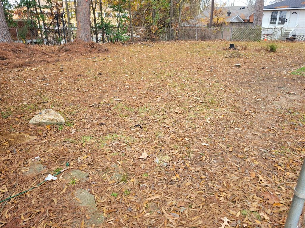 211 Wichita Street Shreveport, LA 71101 - Photo 10 of 10 View of yard