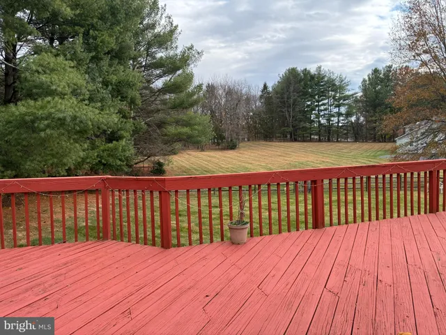 a view of yard with tree