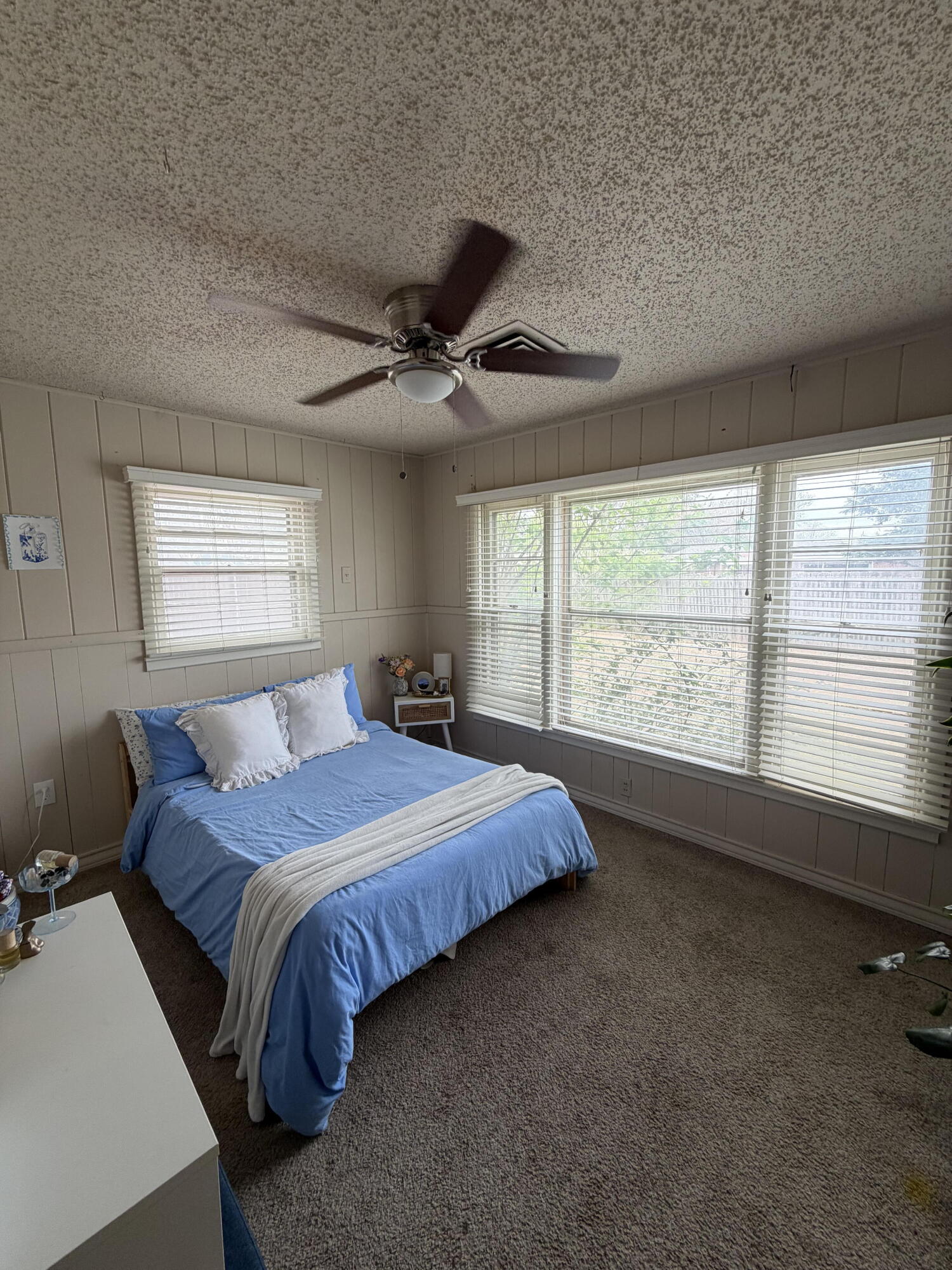 4212 40th Street Lubbock, TX 79413 - Photo 8 of 12 IMG_6223