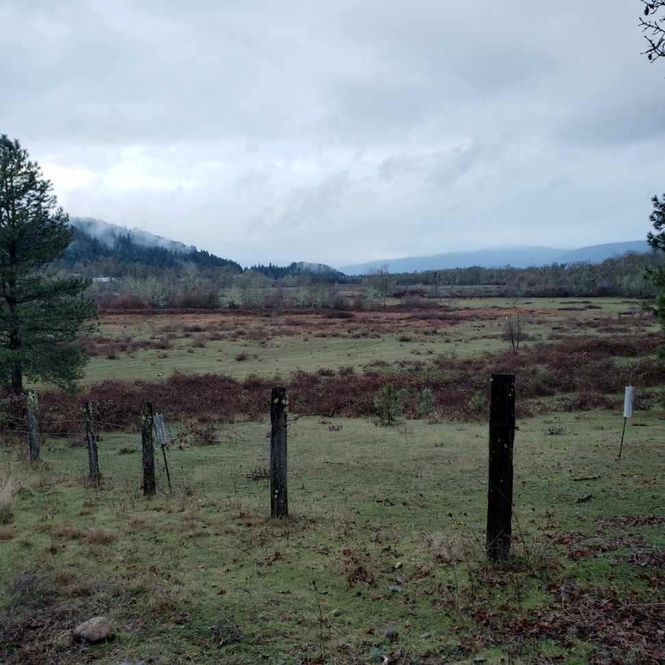 200 Browntown Road Cave Junction, OR 97523 - Photo 2 of 4 Additional Photo