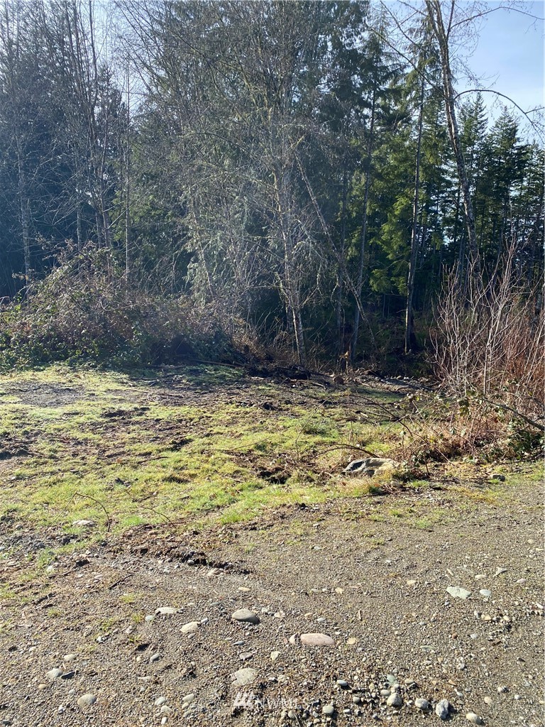 3 Alger Ccc Road Sedro-Woolley, WA 98284 - Photo 2 of 6 a view of water pool with a yard