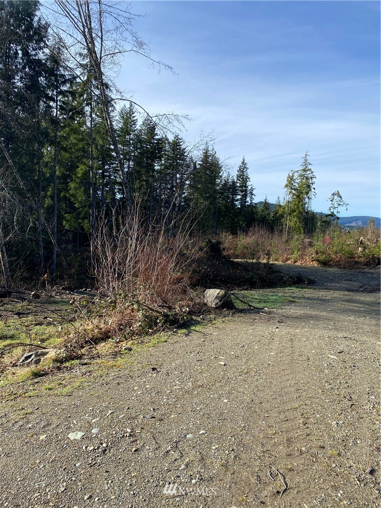 3 Alger Ccc Road Sedro-Woolley, WA 98284 - Photo 3 of 6 a view of a yard with plants