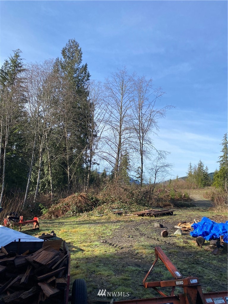 3 Alger Ccc Road Sedro-Woolley, WA 98284 - Photo 6 of 6 a view of yard with tree and car