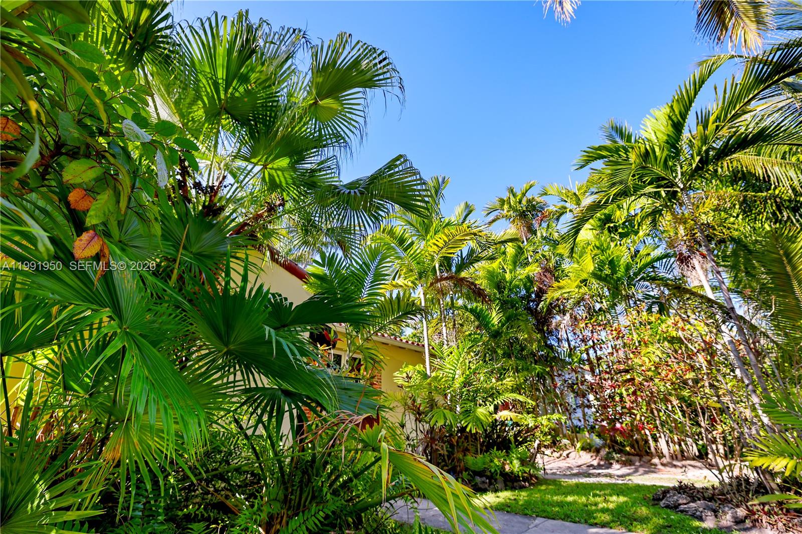 720 Northeast 75th Street Miami, FL 33138 - Photo 33 of 36 a view of a plant in a garden