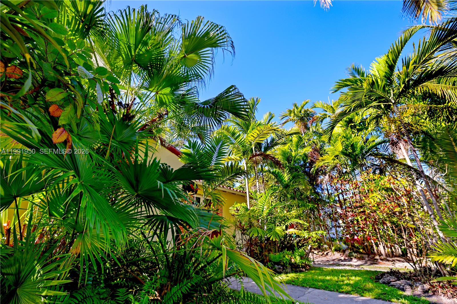 720 Northeast 75th Street Miami, FL 33138 - Photo 34 of 36 a view of a plant in a garden
