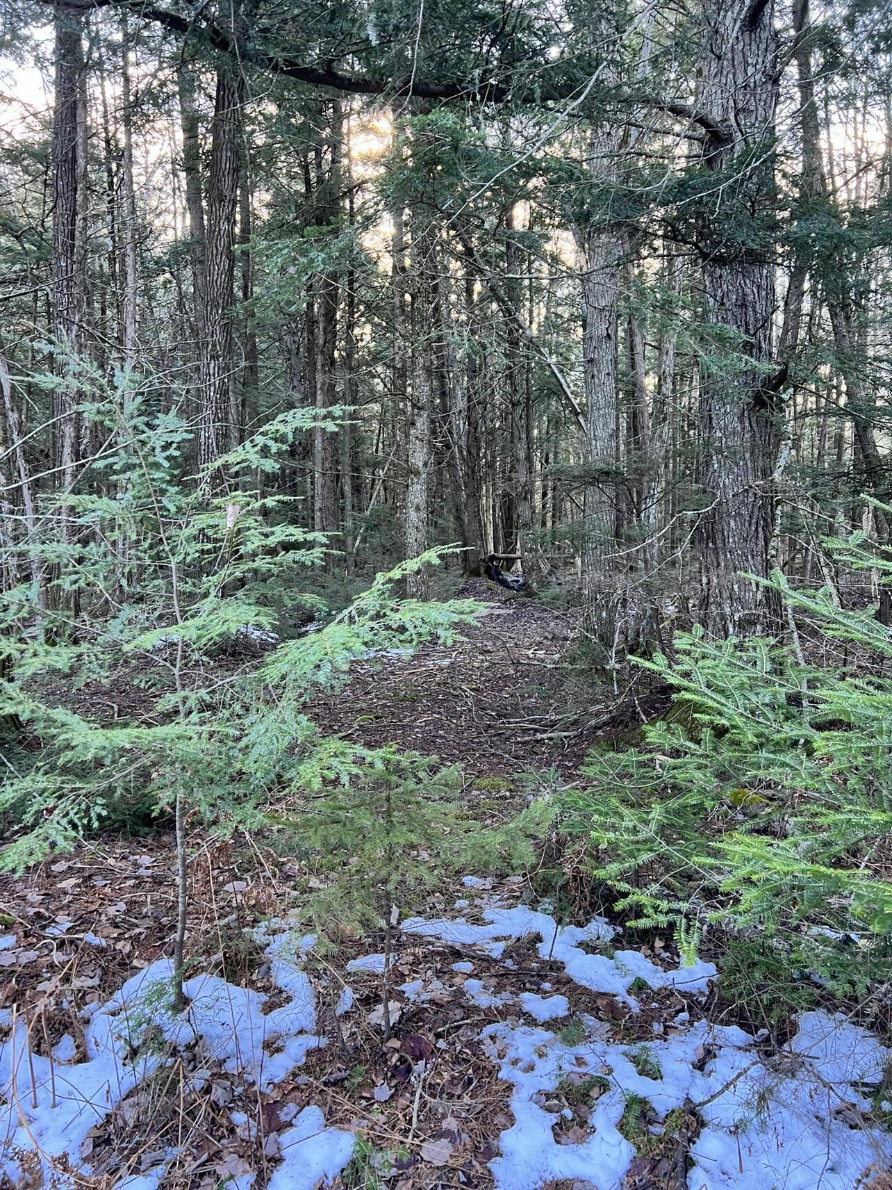 M10-l23 Line Road Corinna, ME 04928 - Photo 1 of 3 land view1