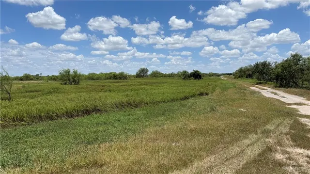 a view of a big yard with lots of green space