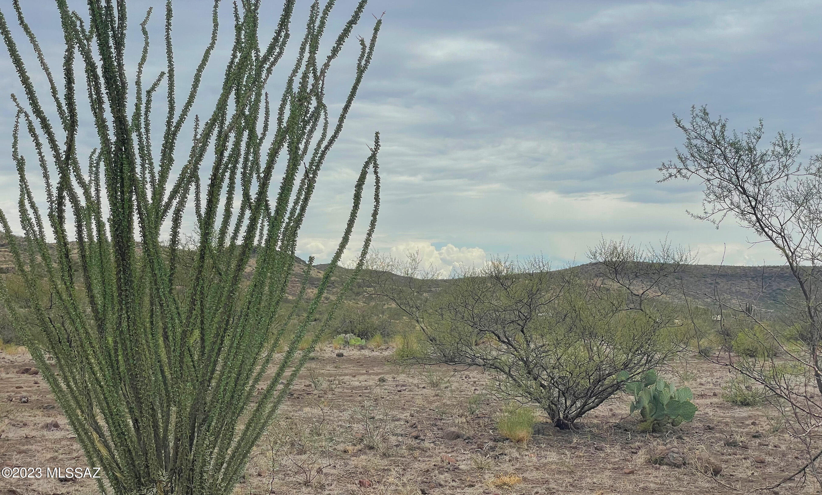 Tbd 80-ac North Pedregosa Road Douglas, AZ 85607 - Photo 23 of 25 Gallery Image 23