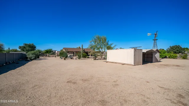a street view with tall trees