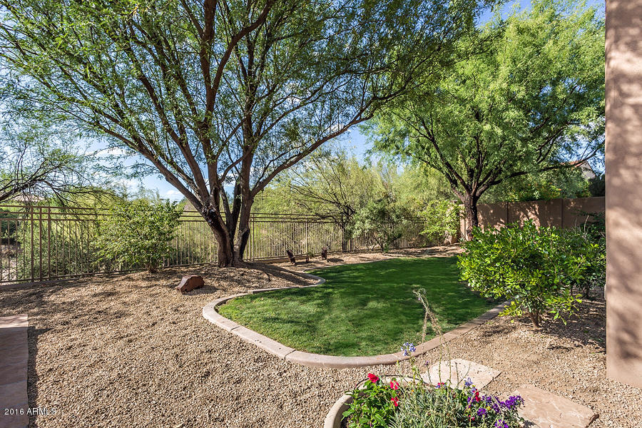 8130 East Wing Shadow Road Scottsdale, AZ 85255 - Photo 41 of 55 backyard
