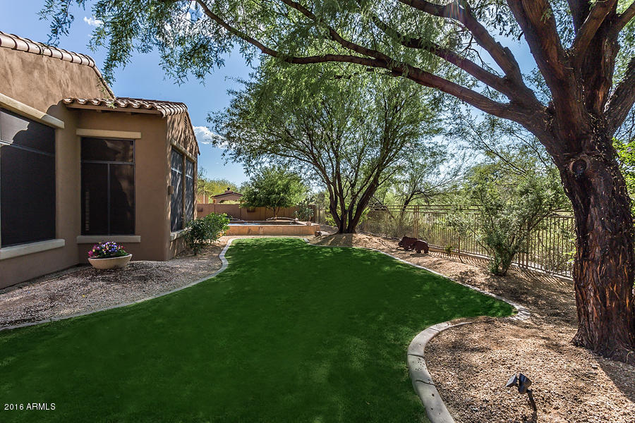8130 East Wing Shadow Road Scottsdale, AZ 85255 - Photo 42 of 55 backyard