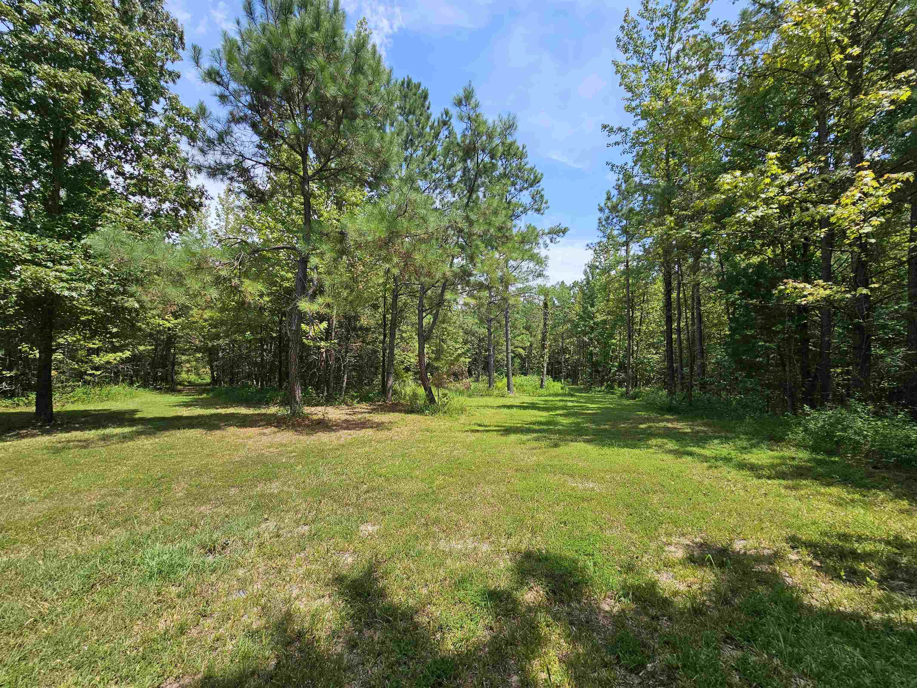 10790 Macedonia Road Brighton, TN 38011 - Photo 11 of 16