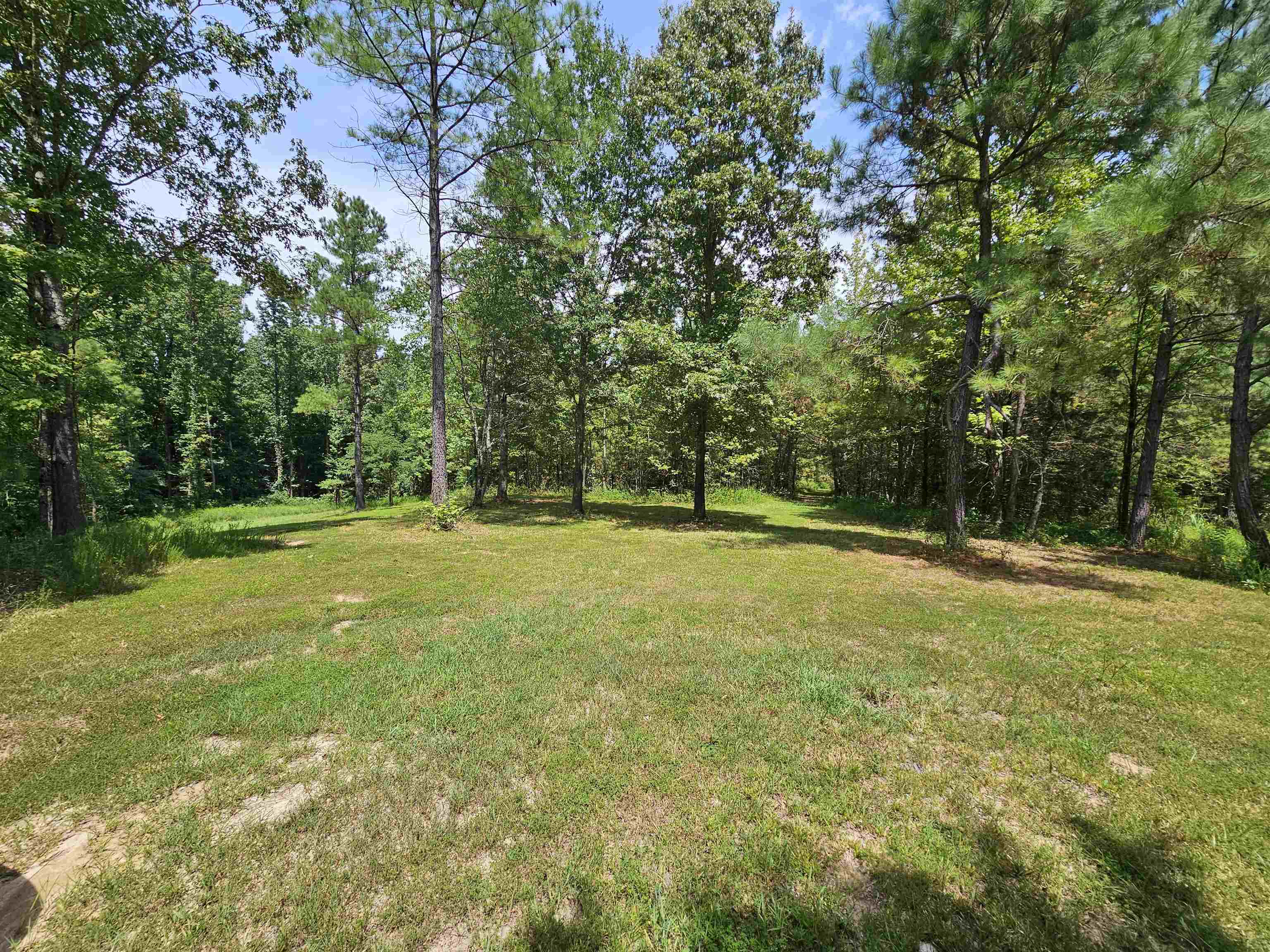 10790 Macedonia Road Brighton, TN 38011 - Photo 12 of 16