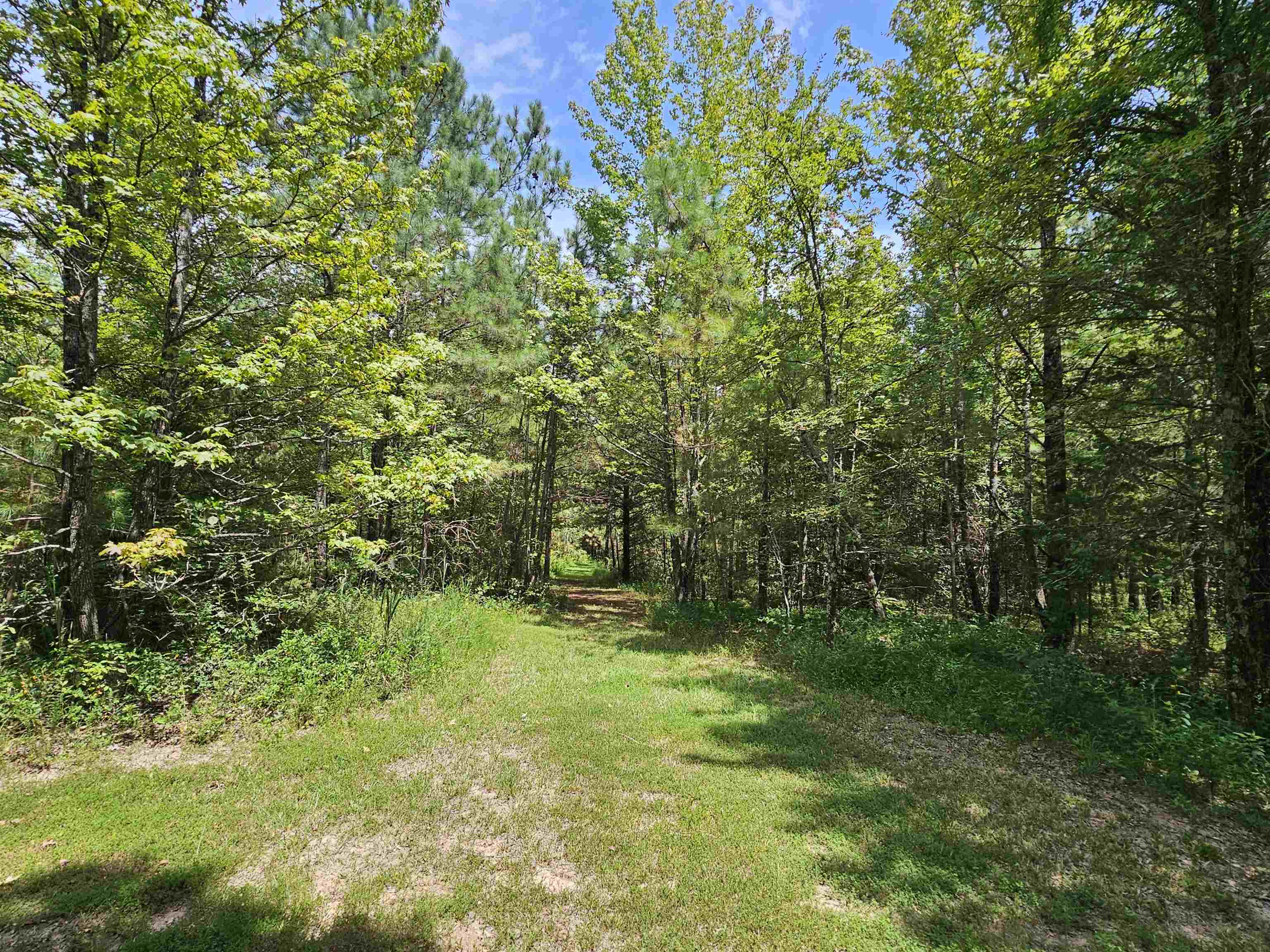 10790 Macedonia Road Brighton, TN 38011 - Photo 13 of 16