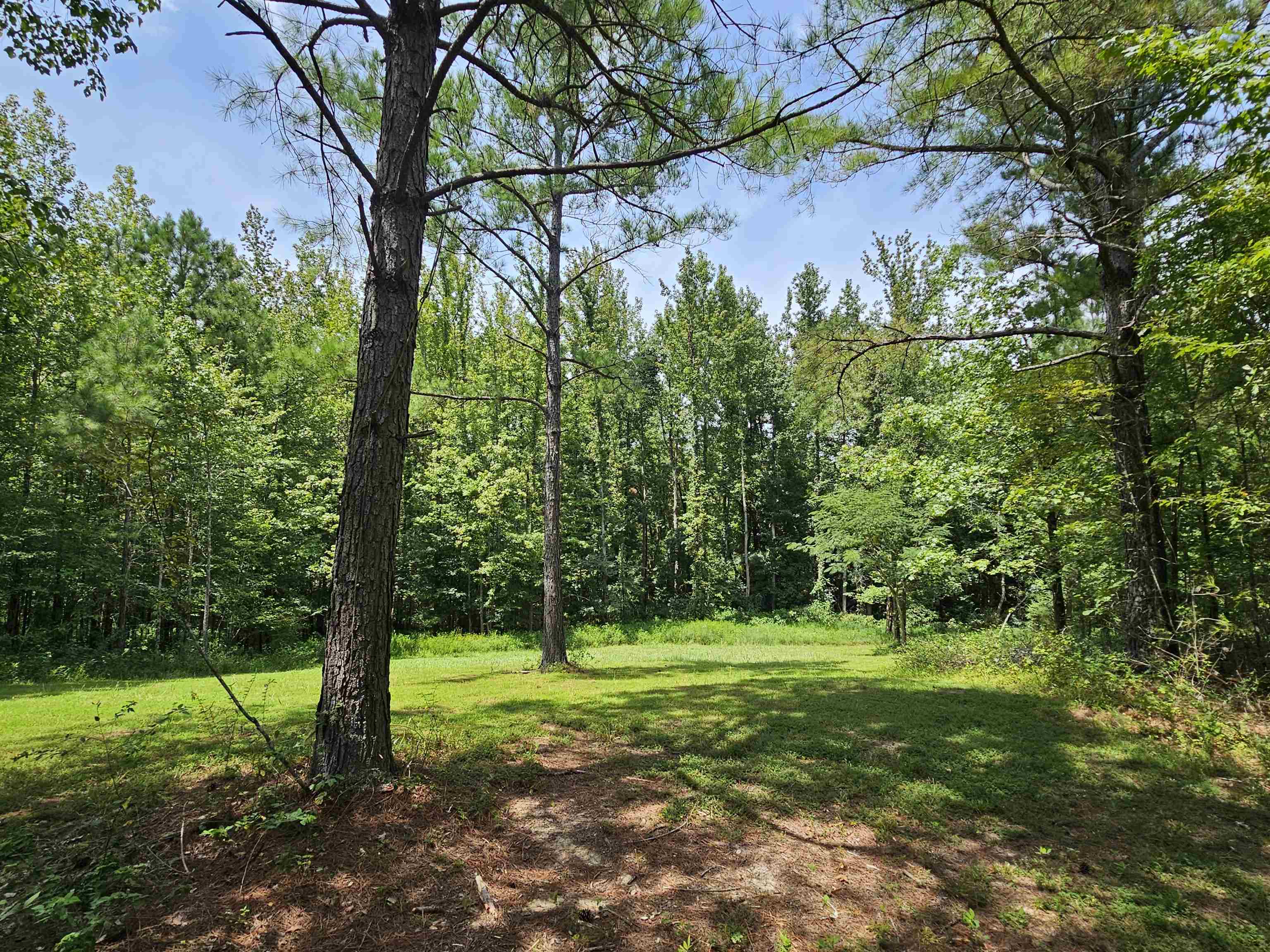 10790 Macedonia Road Brighton, TN 38011 - Photo 14 of 16
