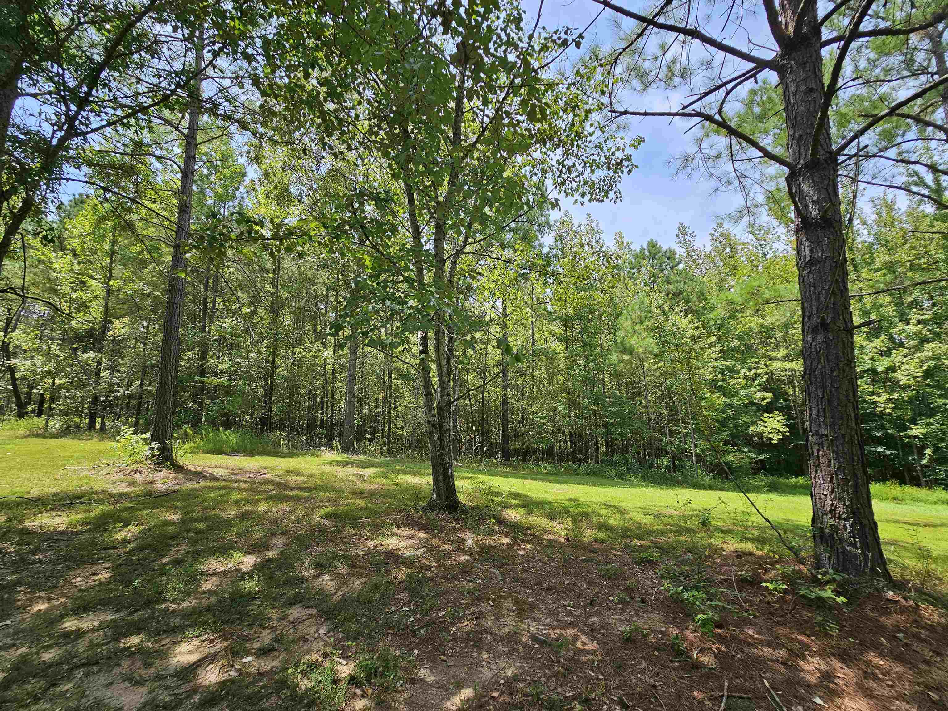 10790 Macedonia Road Brighton, TN 38011 - Photo 15 of 16