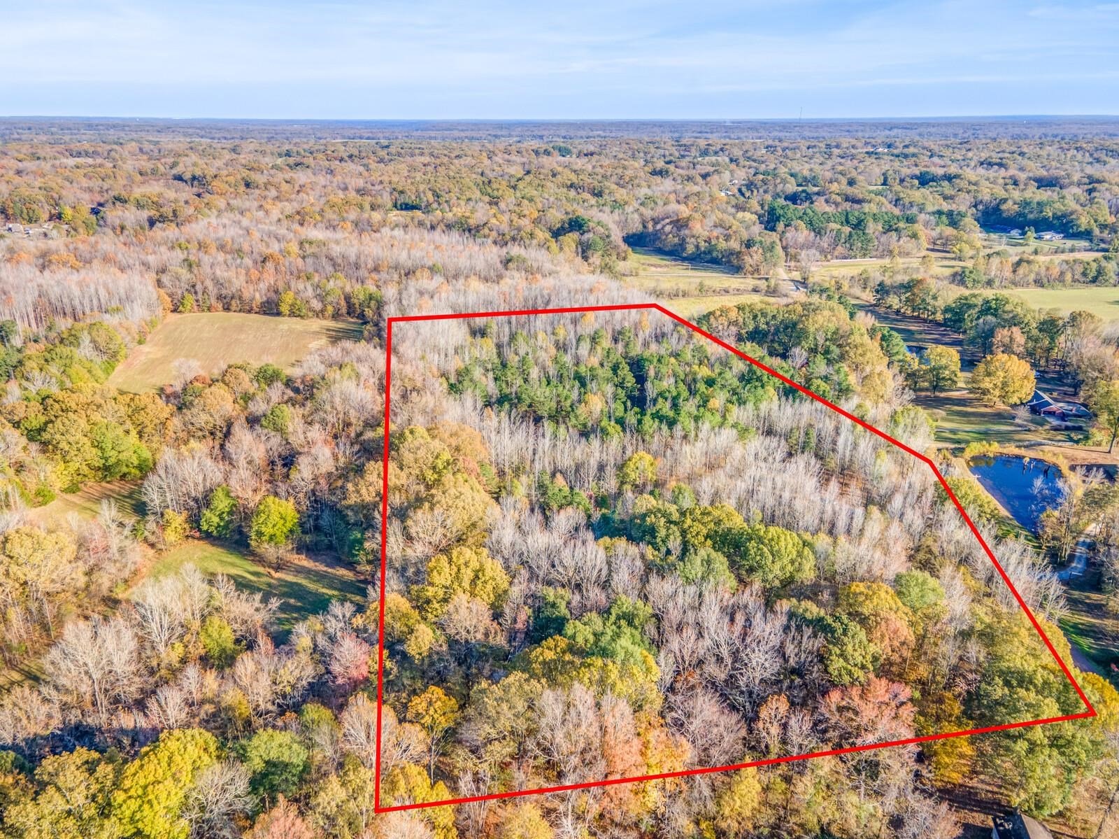 10790 Macedonia Road Brighton, TN 38011 - Photo 3 of 16