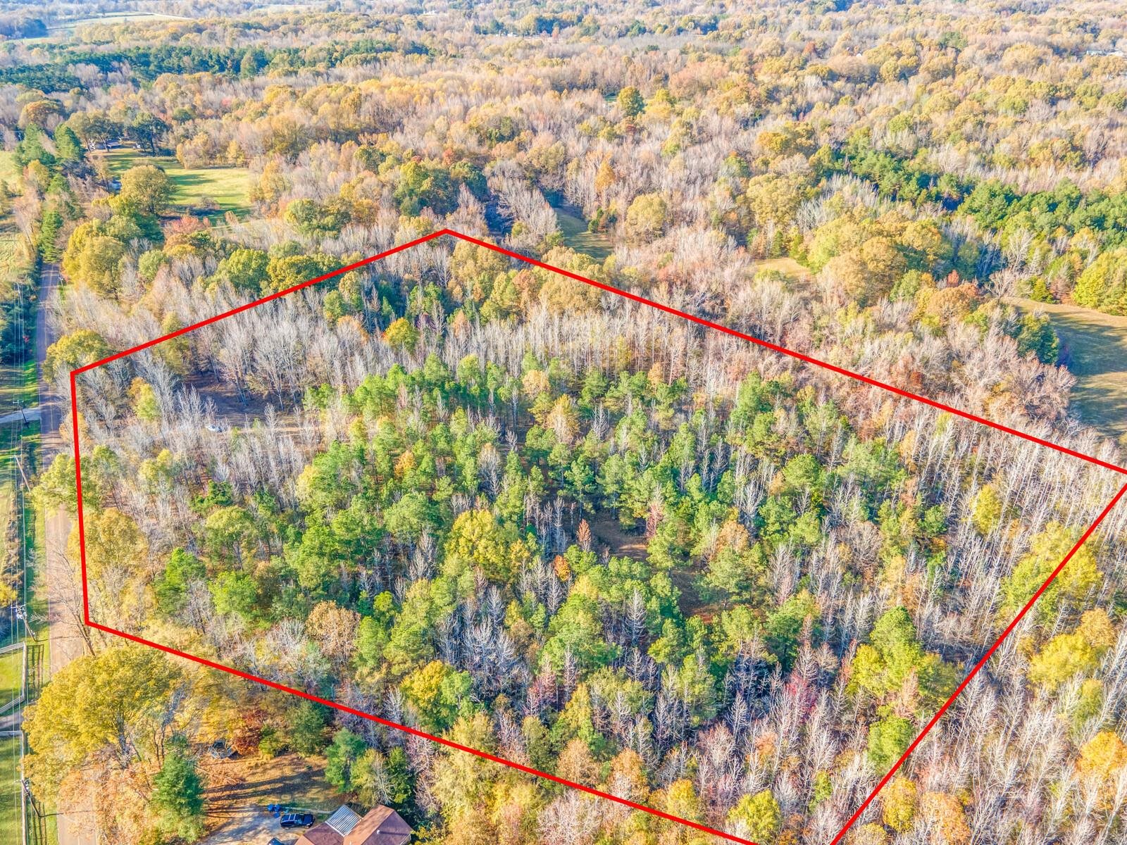 10790 Macedonia Road Brighton, TN 38011 - Photo 4 of 16